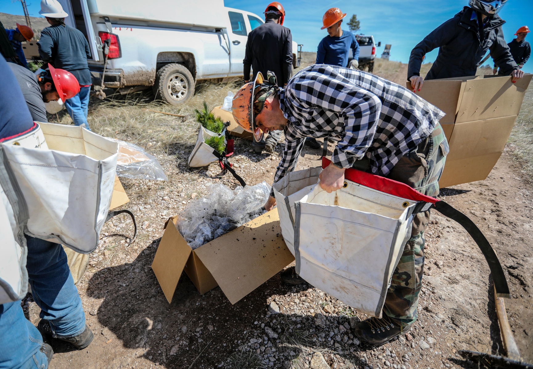 Jasper Fire Tree Planting